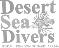 الشركة السعودية للخدمات تحت الماء المحدودة - غواصي بحر الصحراء
